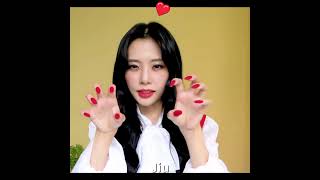 Dreamcatcher Because Gorgeous Jiu