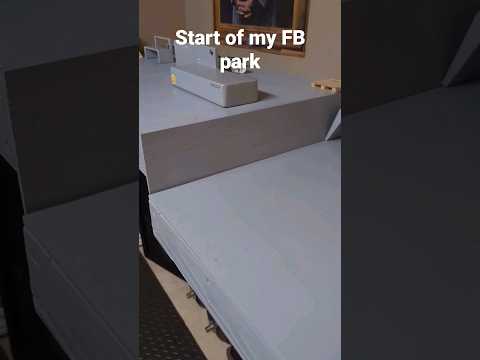 First steps of