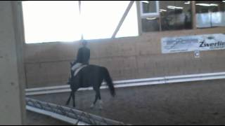 Download Lagu 2. Platz beim Euro Youngster 2012 für Rosette Royal MP3