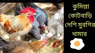 কুমিল্লা কোটবাড়িতে দেশি মুরগির খামার  My poultry farm in my village