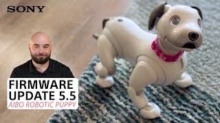 Sony | aibo™ Robotic Puppy – Firmware Update 5.50 Overview