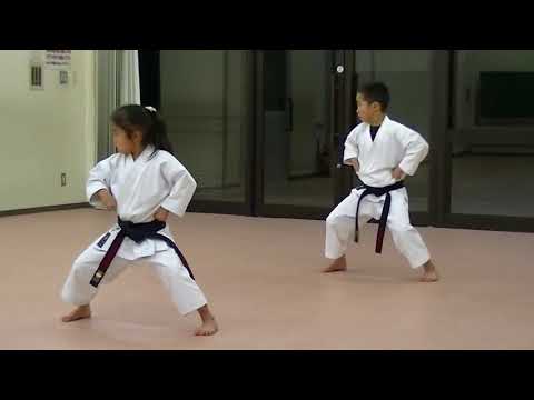Video hướng dẫn học 7 bài quyền cơ bản karate do - youtube