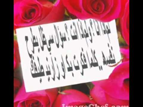 أنا طيبة شيماء الشايب