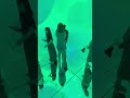 teamLab Planets TOKYO short Ver.10