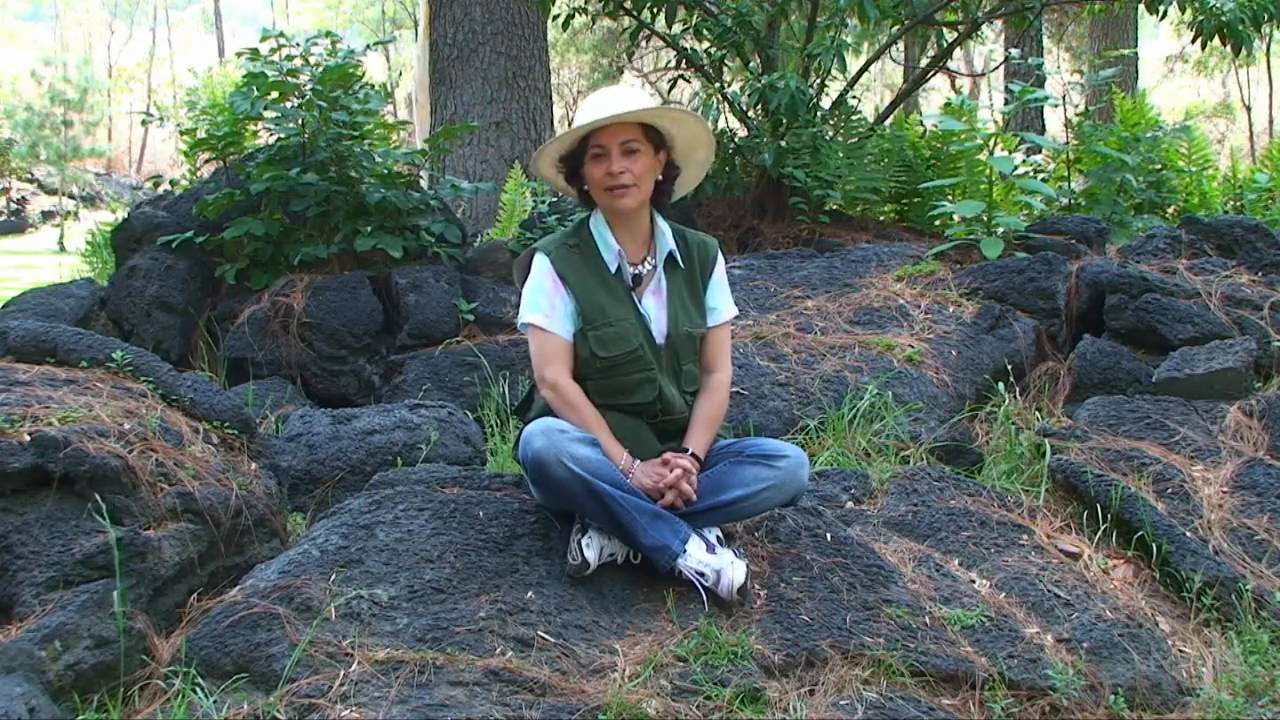 Invitacion al dia de los jardines botanicos en la UNAM