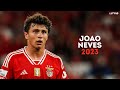 Joo neves 2023  amazing skills goals  assists 