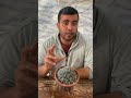 في أقل من دقيقة الفرق بين دقة الزعتر والزعتر الخام واحة سيناء