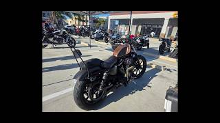 Hunting Harleys, Bike Night at Cycle Gear