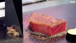 Miyazaki Beef & Abalone Teppanyaki - Food in Japan