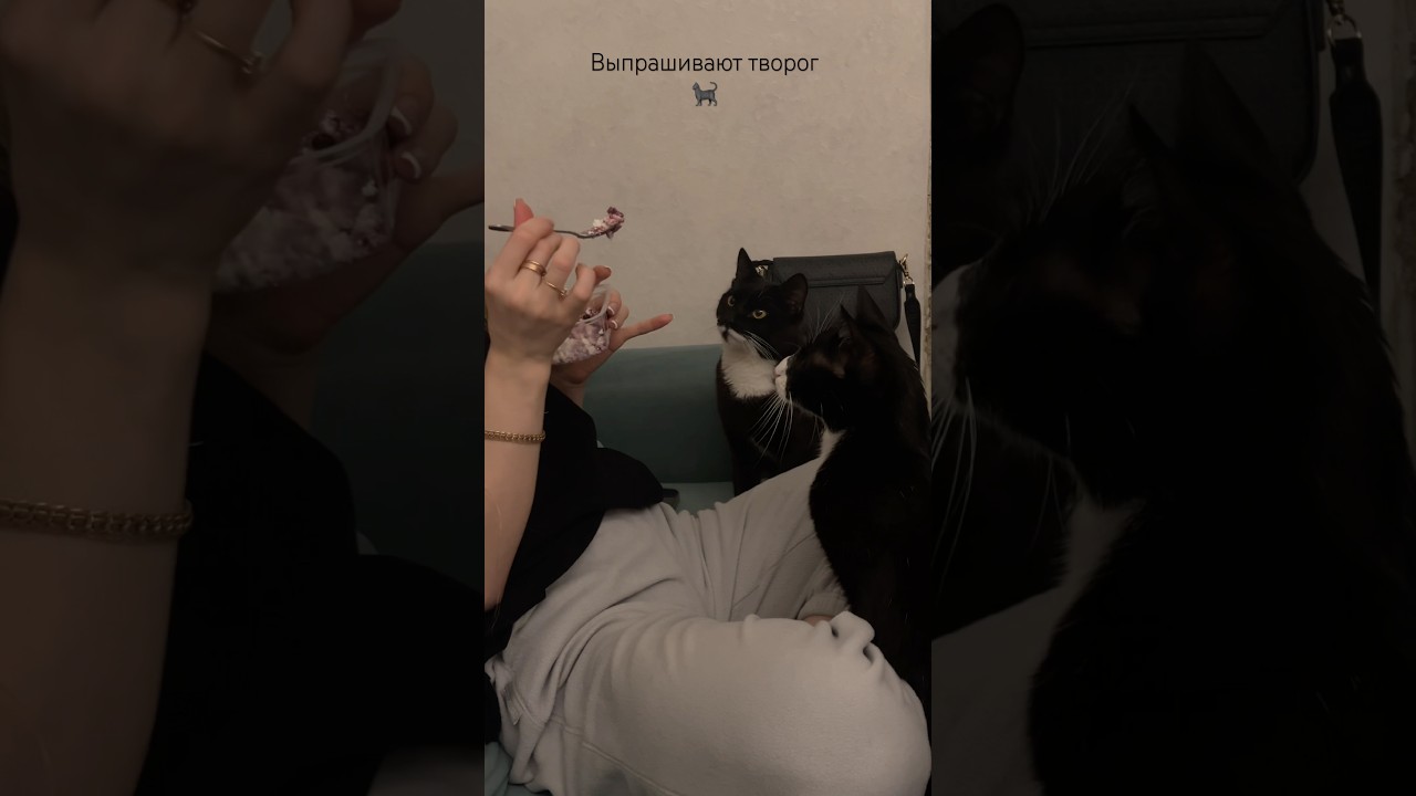 Как им отказать? 