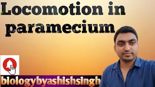Locomotion in paramecium