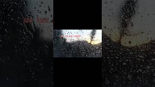 Dibelakangku-Noah#noah #yt#ytshort #arielnoah#ariel#statuswhatsapp#storywa#statuswa