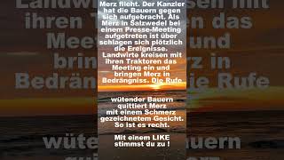 Merz flieht #politik #afd , #shorts , #shortsfeed, #shortvideo, #foryou, #fyp ,#short ,#deutsch