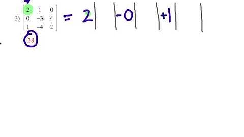How to Do Determinates: Self Quiz 1