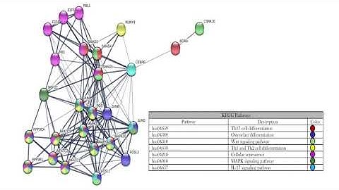 LIGHTNING TALK VIDEO: Immunogenomics of Disease 2021