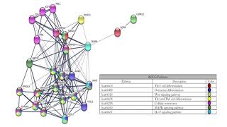 LIGHTNING TALK VIDEO: Immunogenomics of Disease 2021