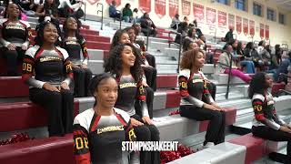 CHARLOTTE CHEERLEADERS GET DOWN FOR BASKETBALL SEASON!