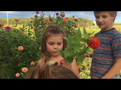 Everett and Maddy~ tour of a Wisconsin Family Farm~Raising a Farmer~ Wisconsin 2017