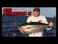 Giant Tuna With Penn International VI Reels. Big Game Fishing.