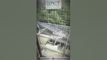 Pigeon Safety Net Installation in Gurugram | Networks Bird Net