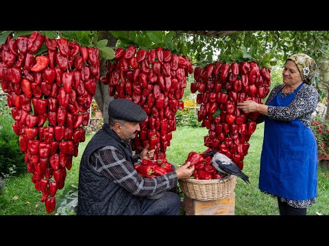 Bahçeden Sofraya: Biber Salçası Yapımı