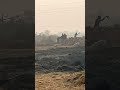 Mashallah best#islamicvideo#10mviews 🕋🌎🤲🏻
