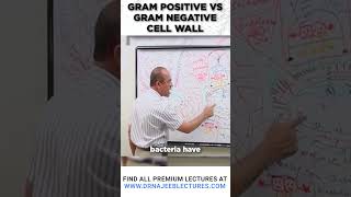 Gram Positive vs Gram Negative Cell Wall #drnajeeb #drnajeeblectures #shortvideostatus