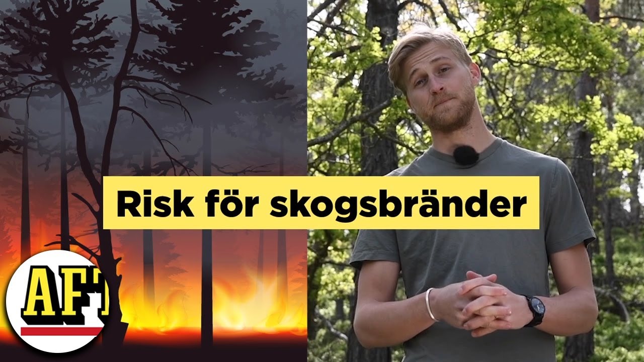SÅ FUNKAR SKOGSBRÄNDER – Meteorologen förklarar