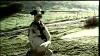 Cow shooting with milk in Matrix slow motion