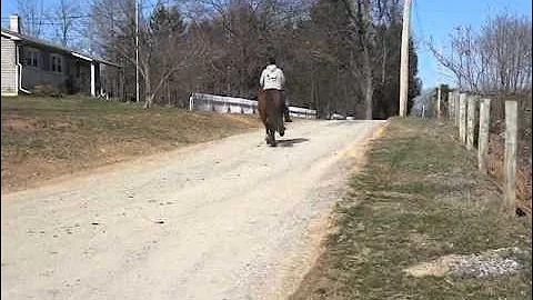 3-29-30BOHorses 185.MP4