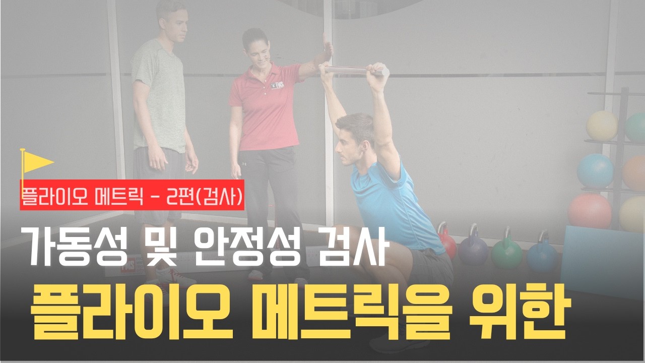 무릎 다치기 전 필수 시청! 전문가가 점프 전에 반드시 확인하는 5가지 (ft. 핏불짐 스터디)