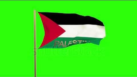Palestine flag with title waving in the wind. Looping sun rises style. Animation loop Stock video