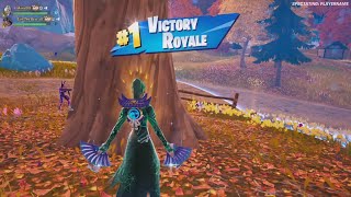 Fortnite - Taking down flies for that win! Duos Victory Royale with SamTheBearxD