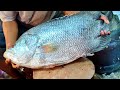 Incredible Tripletail Fish Cutting Live In  Bangladesh | Fish Cutting In Bangladesh