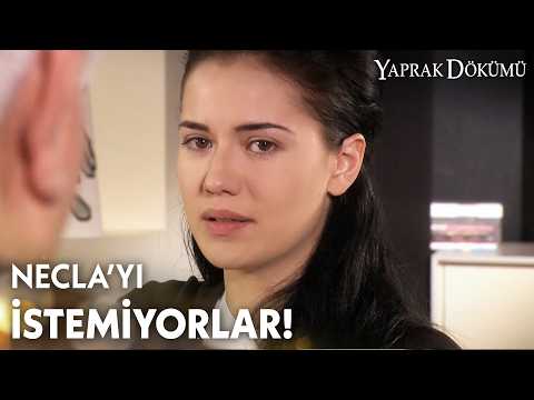 Necla yapılanları kabullenemiyor! - Yaprak Dökümü Özel Klip