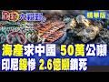 印尼鎳礦作死 大砍配額至2.6億噸!驚覺LFP電池崛起 雅加達認清誰才是老大 雙手奉上50萬噸海產求中國購買|【全球大視野】精華版 @全球大視野Global_Vision
