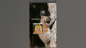 A Photoshop beta update introduces AI image upscaling, improved object removal, and more.
