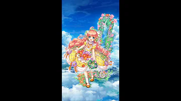 サマーサンシャイン アマデウス サマーサンシャイン アマデウス