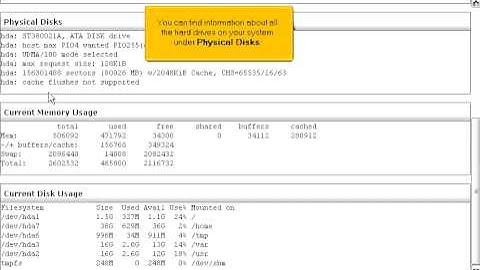 How to check your WHM server