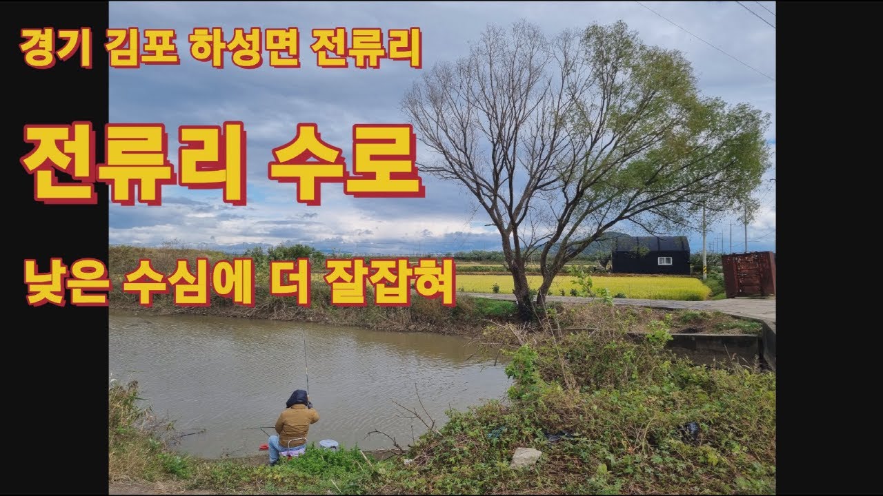 노지 붕어낚시 포인트, 무료터 탐방6! 김포 하성 전류리 수로! 수심이 낮을수록 더 잘 나온다는데... #민물낚시 #수로 #낚시터 #월척 #대물 #강화 #배스 #fishing