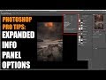 Photoshop Pro Tips: Expanded Image Info Panel Customization.