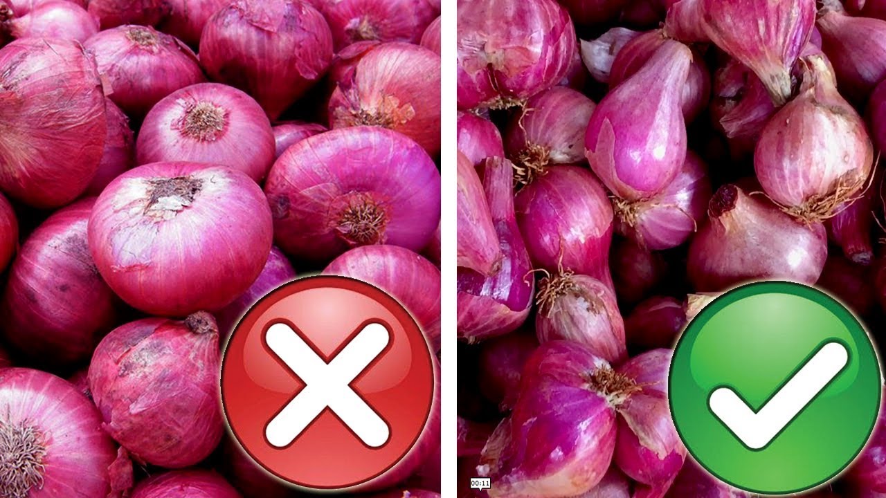 10 amazing health benefits of small onion in tamil (chinna vengayam) -  health tips in tamil