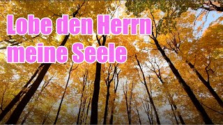 Lobe den Herrn meine Seele
