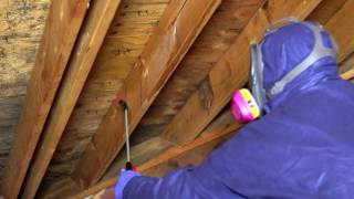 MoldX2 Kills Mold in Crawl Spaces and Attics & Helps Prevent Future  Growth.