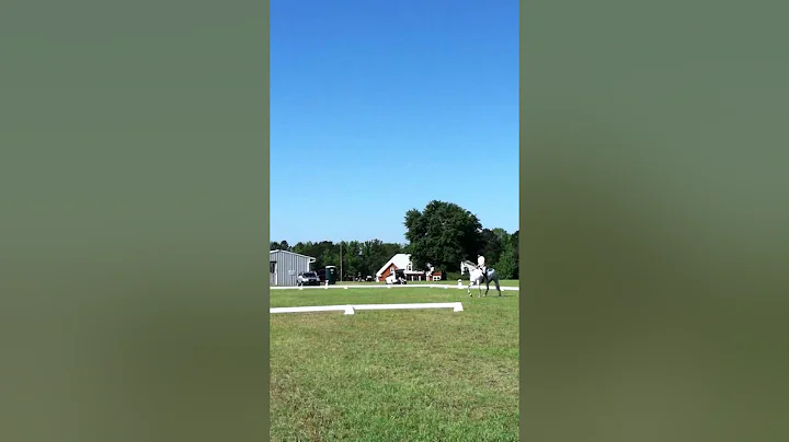 Jen Shattuck Dressage Full Gallop