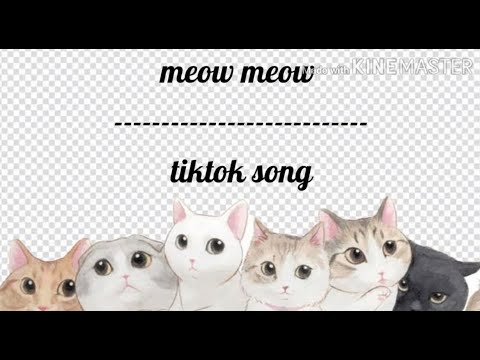 Meow meow tiktok song with tab || Kalimba Cover - YouTube