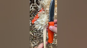 S#0058 ⚡ Condor Terrasaur Scandi Feather Stick Making Fuzz Stick Featherstick Curles Feathersticking