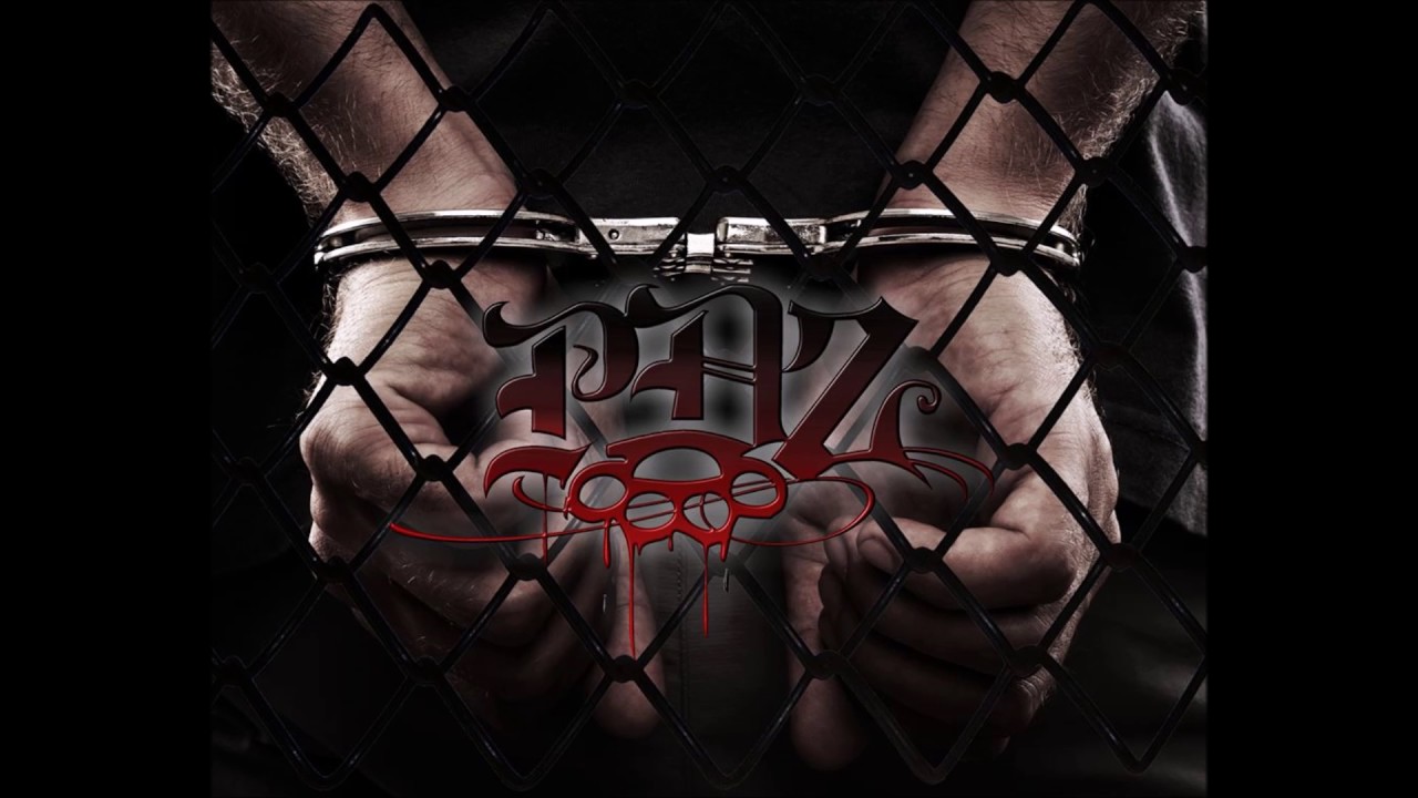 DEMENZ PDZ - KILKA SŁÓW