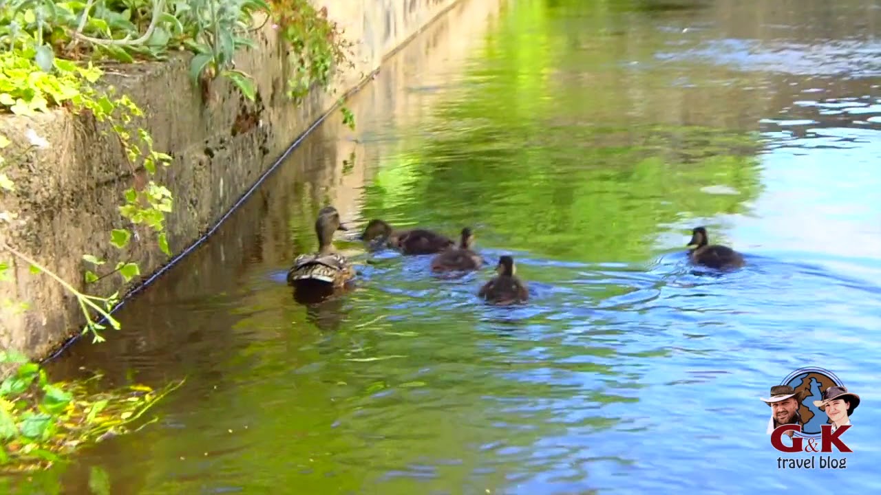 Llangollen Wharf Horse Drawn Boat