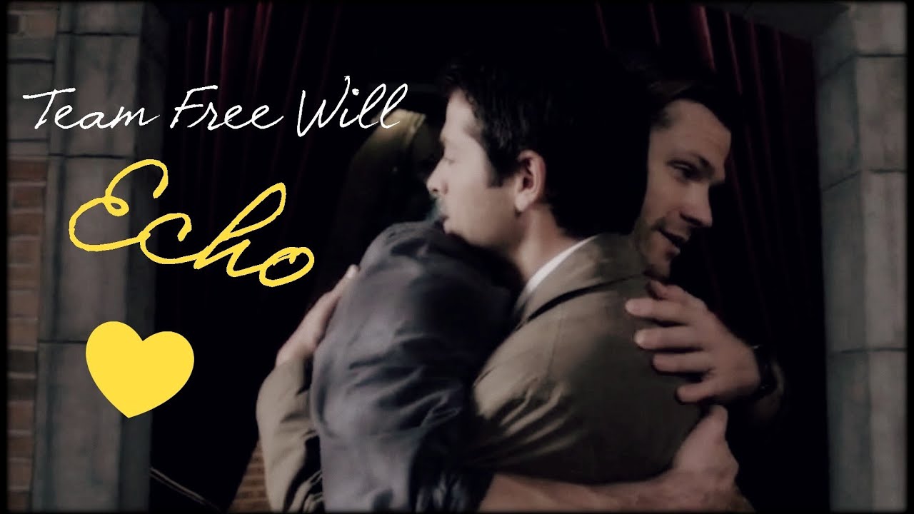 team free will ● echo